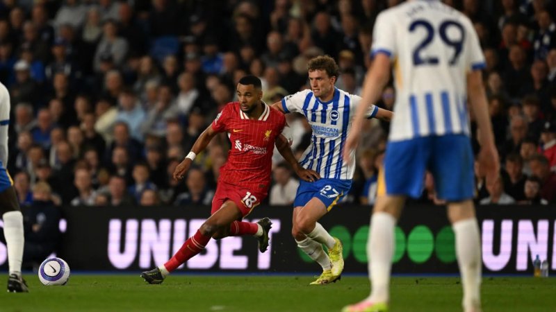 Liverpool tự tin đánh bại Brighton Hove Albion